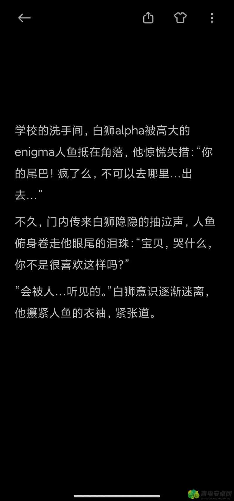 三个Enigma 强制把 alpha 变为 o 背后的神秘力量与深层逻辑