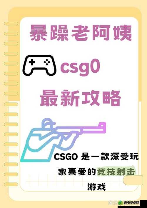 暴躁老阿姨的 CS：一个神秘而有趣的故事