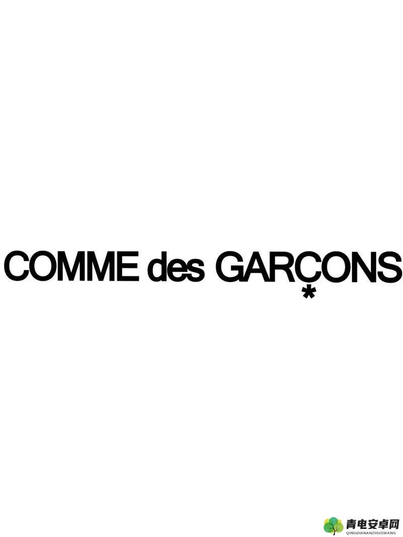 日本知名时尚品牌 COMME des GARÇONS 的独特设计与创意探索