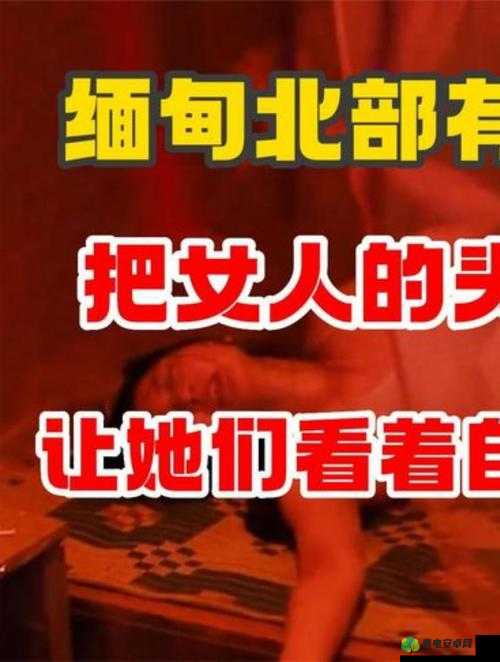 缅甸外网恐怖网站入：揭秘神秘网络世界的黑暗角落