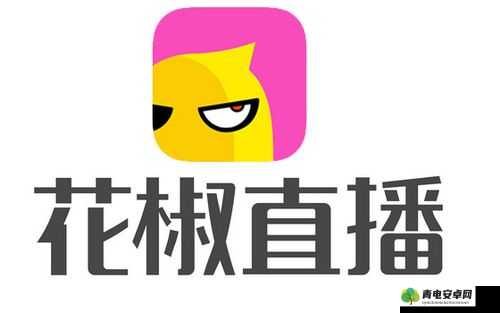 花椒直播下载 ipad：让你的 ipad 拥有更多精彩直播体验