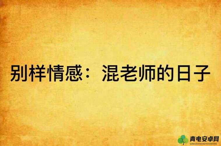 婚礼被全村：高 H 小敏的别样情感故事