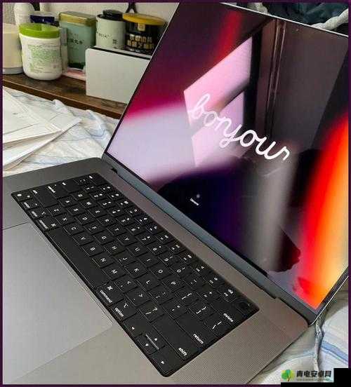 美国 MacBook Pro 日本的独特魅力与优势