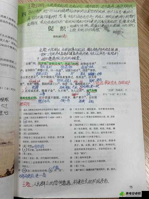 古代人生游戏攻略，掌握高稀有度促织捕捉技巧，助你成就一品促织大师