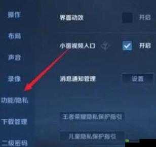 王者荣耀隐身登录功能详解：如何开启隐身模式保护你的游戏隐私