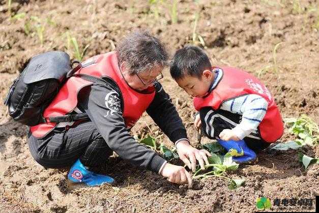 儿子耕种母亲的田地叫什么：亲子农田合作