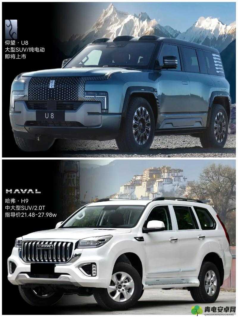 国产 SUV 精品一区二区 69 精彩呈现