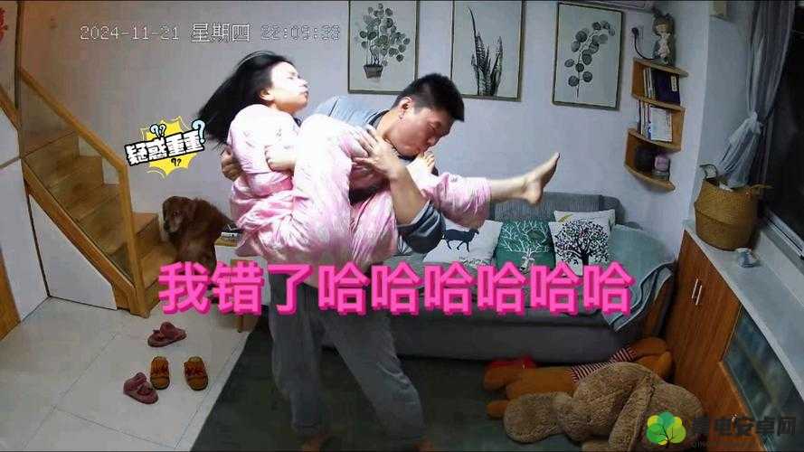 柯：主人我错了哈哈哈哈