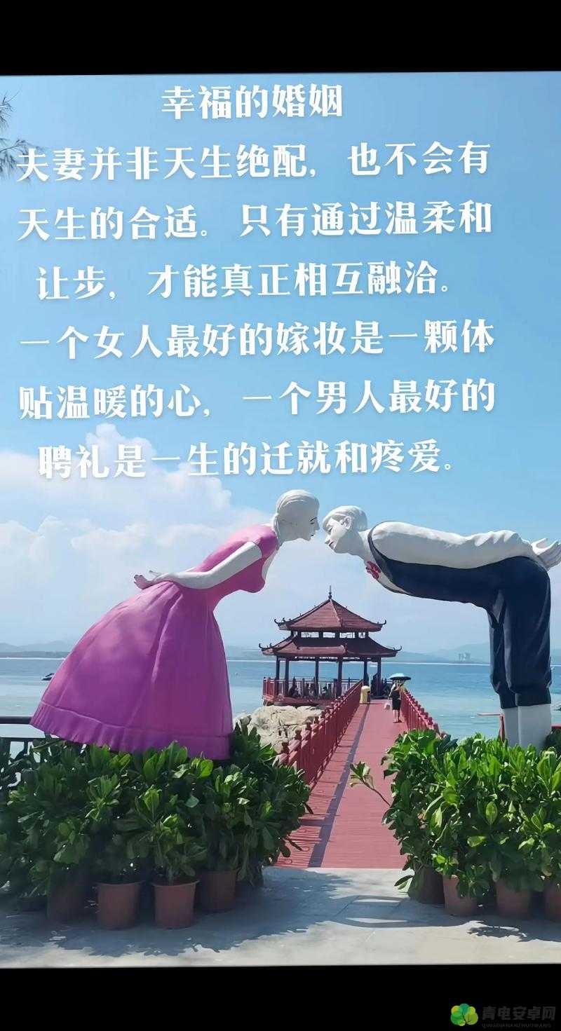 JAVAPARSERHD 夫妻的幸福生活