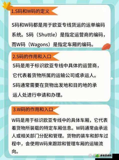 欧亚专线 S 码和 W 码入口一样吗：二者区别何在