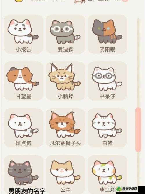 遇见你的猫猫抓机使用指南及物品总览