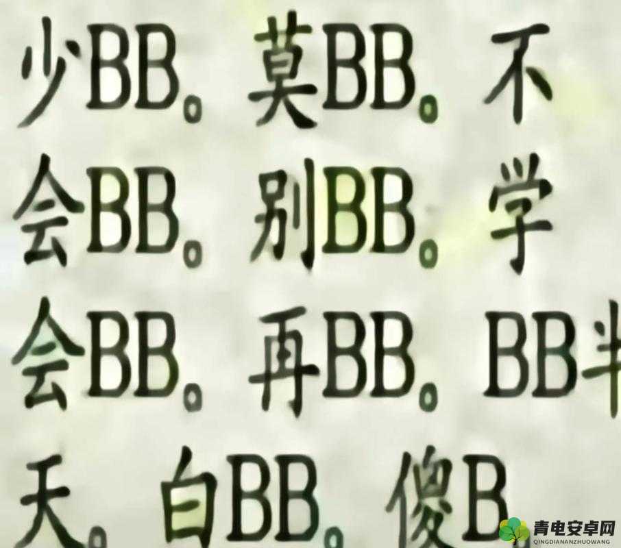 中国槡 BBBB 槡槡 BBBBB ：探寻其独特魅力