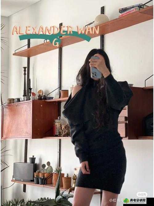 ALEXANDERWANG 妈妈评测：全方位解析