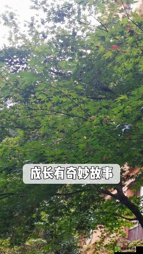 一根又黑又硬蘑菇头引发的奇妙故事