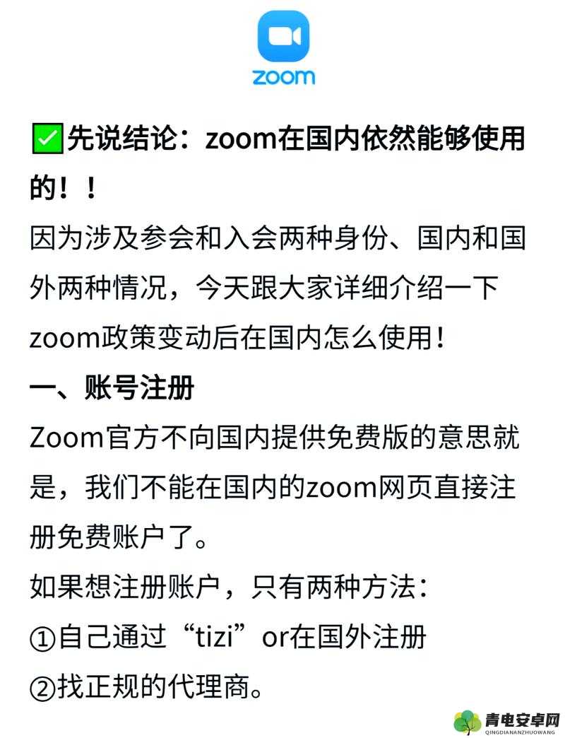 Zoom 与牛性胶 ZOOm：对比分析