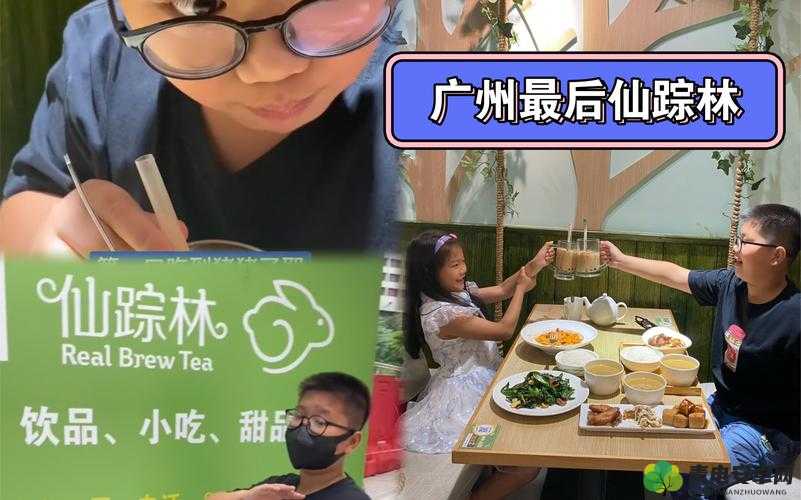 幼儿 HIPHOP 仙踪林：开启活力童年之旅