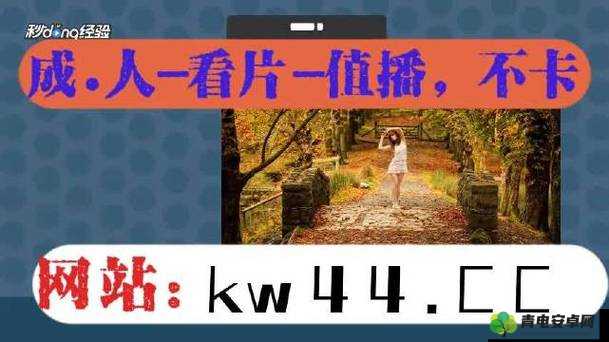 xkdsp.apk3.0 隐藏入口探秘