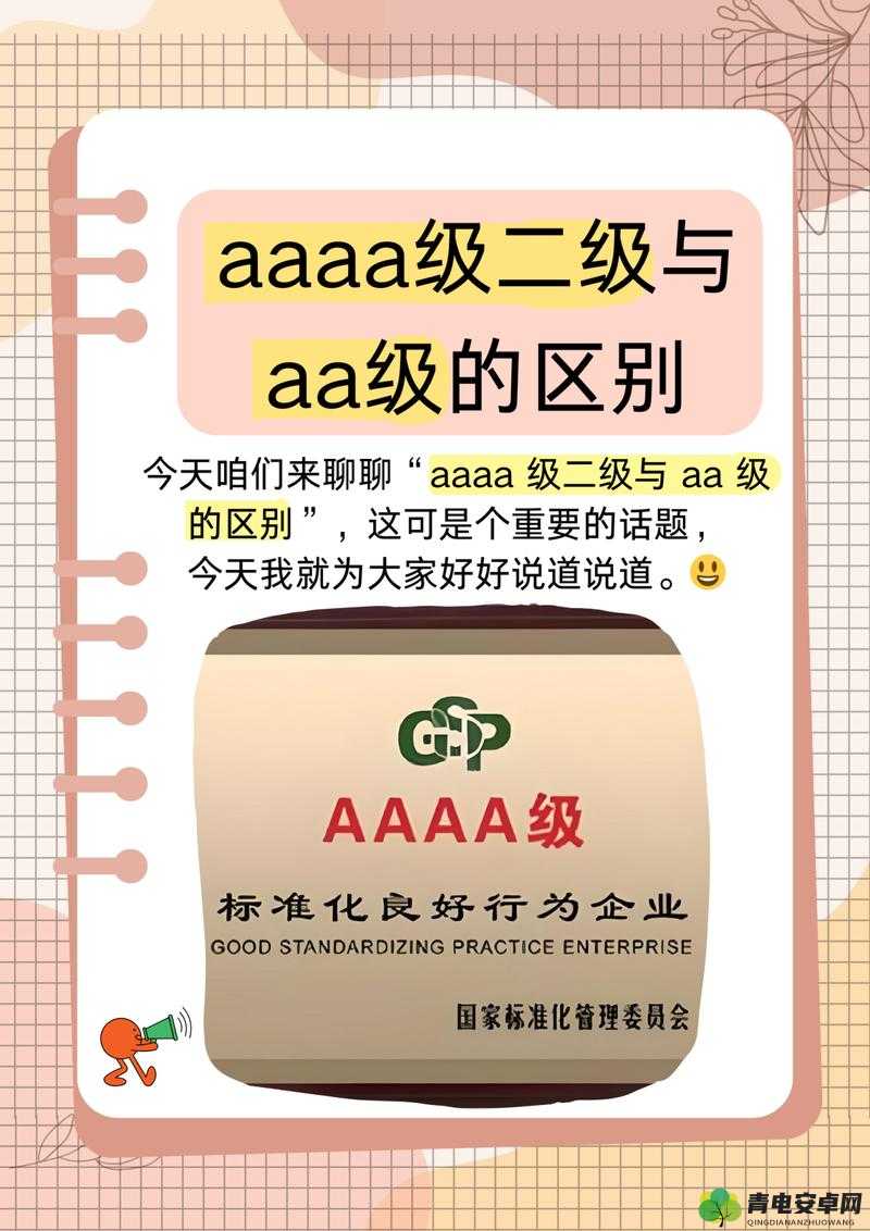 AAAA 级二级与 AA 级区别详解