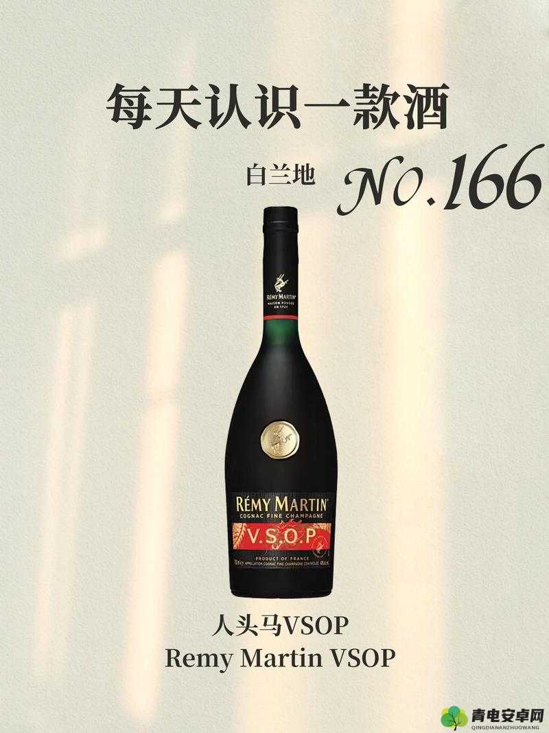 欧版人马 VSOP：品质卓越的白兰地佳酿