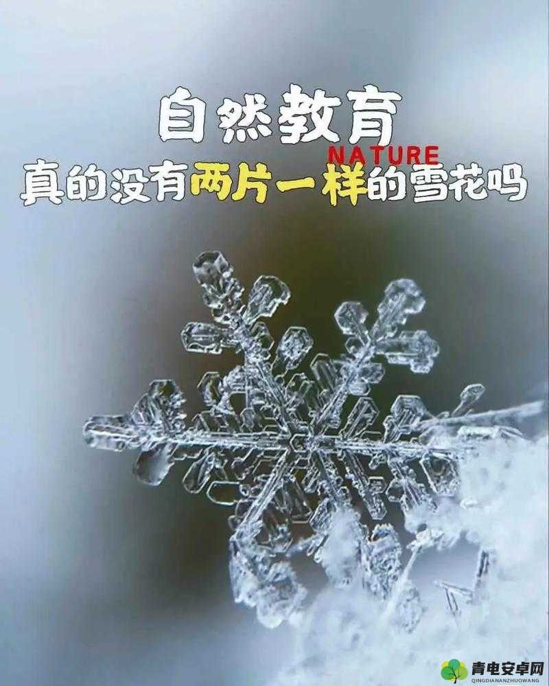 探索一十太阳雪花之谜，揭晓隐藏在其中的成语真相