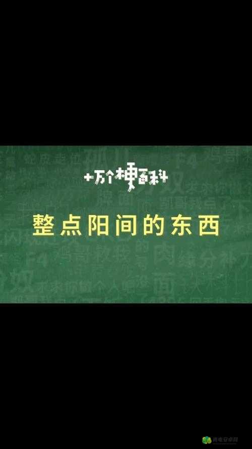 整点阳间的东西是什么梗：探究其含义