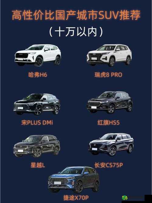 国产又美又漂亮 SUV 有哪些：众多车型等你来选