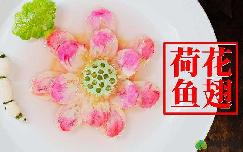 魔法荷花鱼翅：烹饪创意之秘