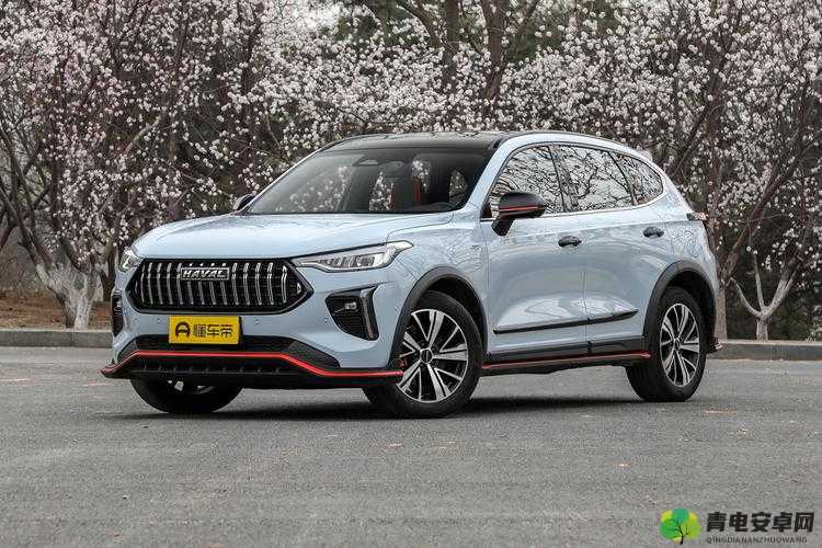 国产又美又漂亮的 SUV 有哪些：BD 版已更新