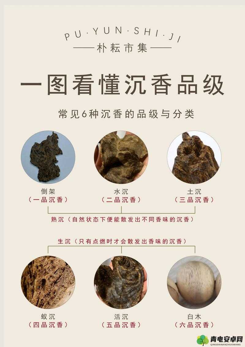 沉香一线产区：珍贵与独特的魅力之源