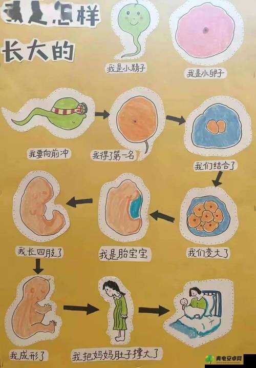 20 分钟性生：探索生命的奥秘