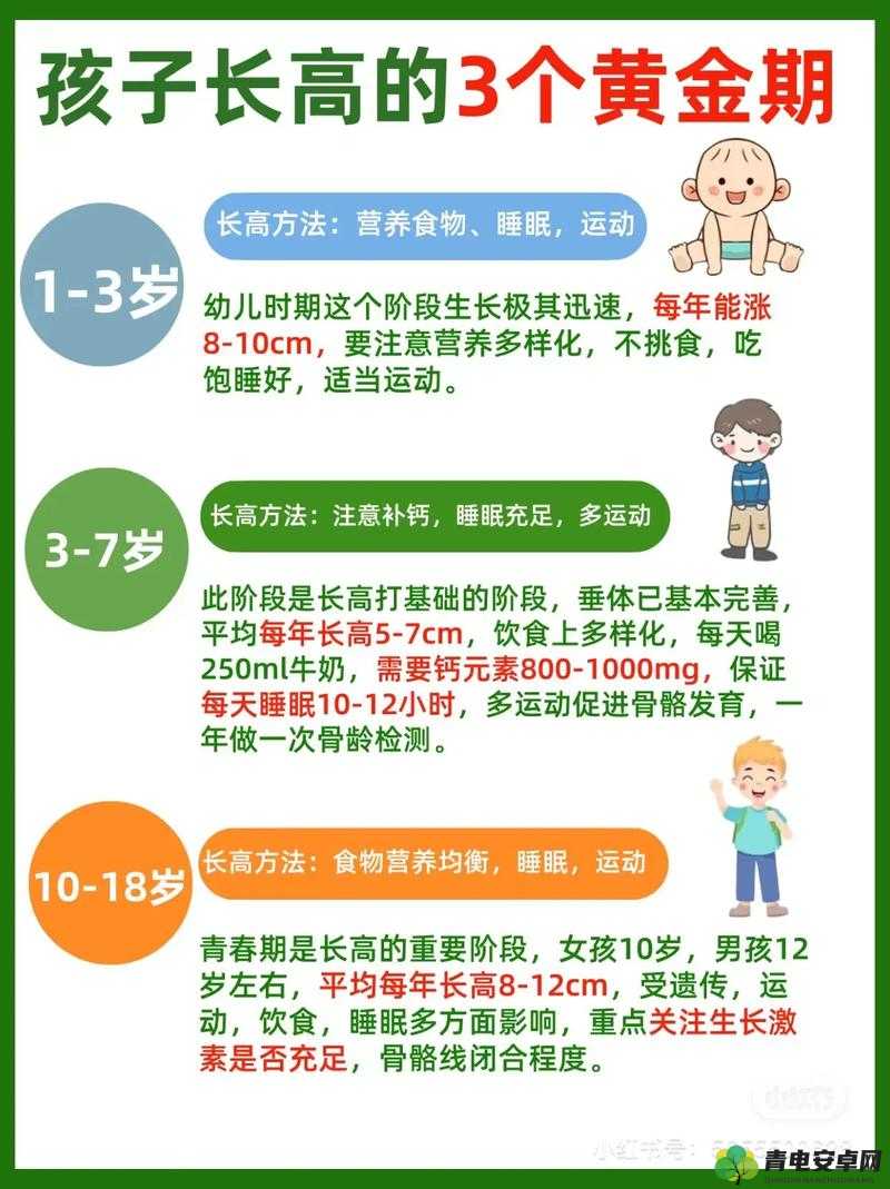 健康宝宝：属性全解析与获取方法指南