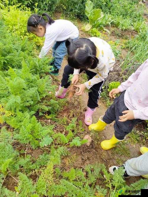 一小孩儿和老师拔萝卜（黄）：有趣的劳动场景