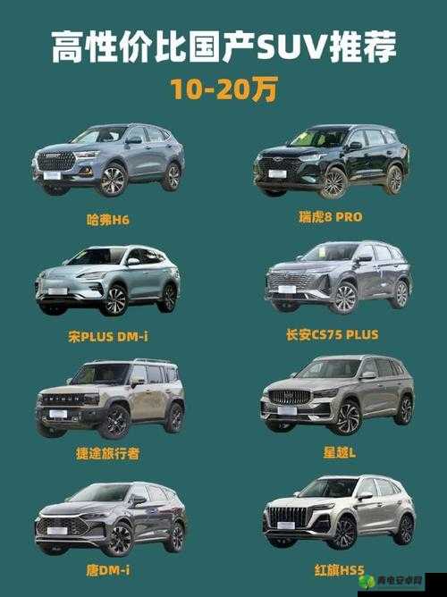 国产 SUV 精品一区二区五：性能卓越之选