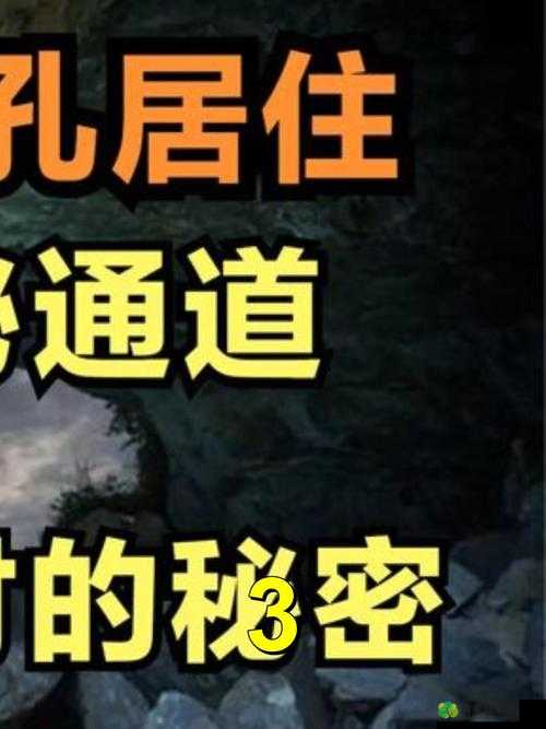 18 款夜间禁用软件隐藏入口：神秘通道探寻