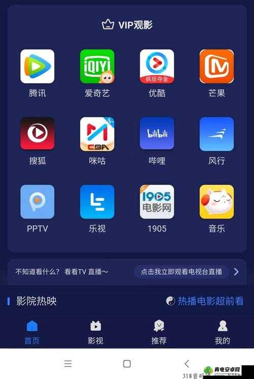 能看所有 VIP 影视的软件 APP：畅享精彩无界