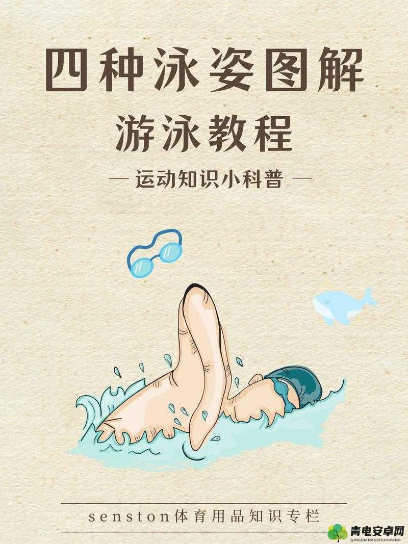 泳姿专业教学，月月让你畅游无阻