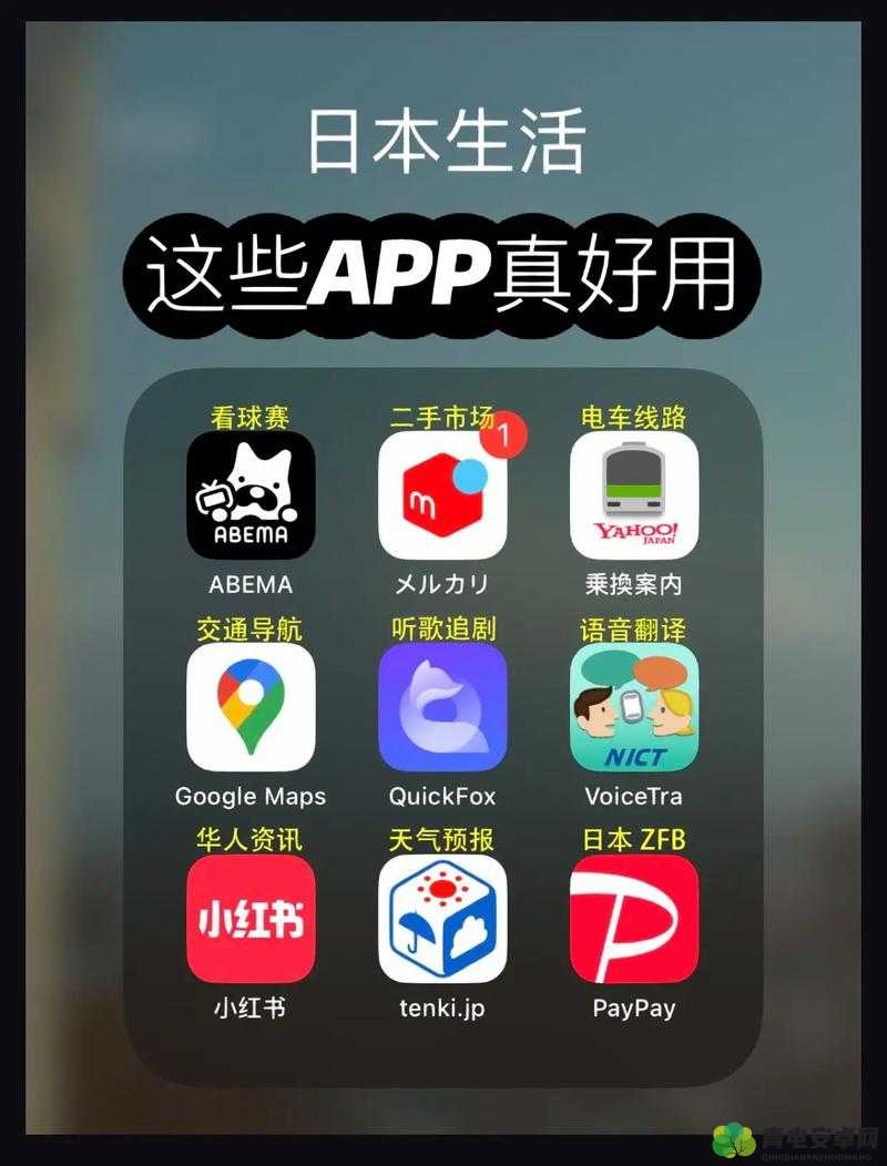 RAPPER日本免费大全APP：一款独特的应用