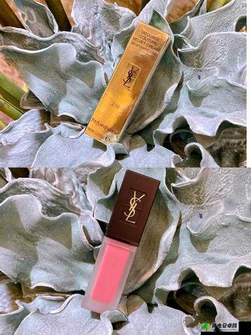 YSL 蜜桃色 WWW 魅力新呈现