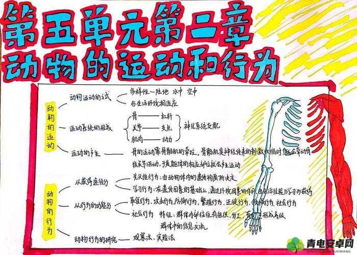 黑暗与光明手游生物图鉴 奇妙生物世界大揭秘