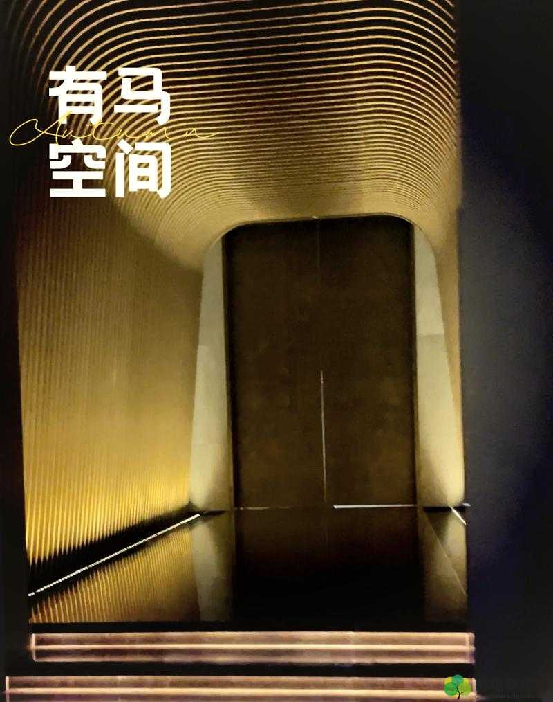 一马双跨-折枚针的奇妙之旅