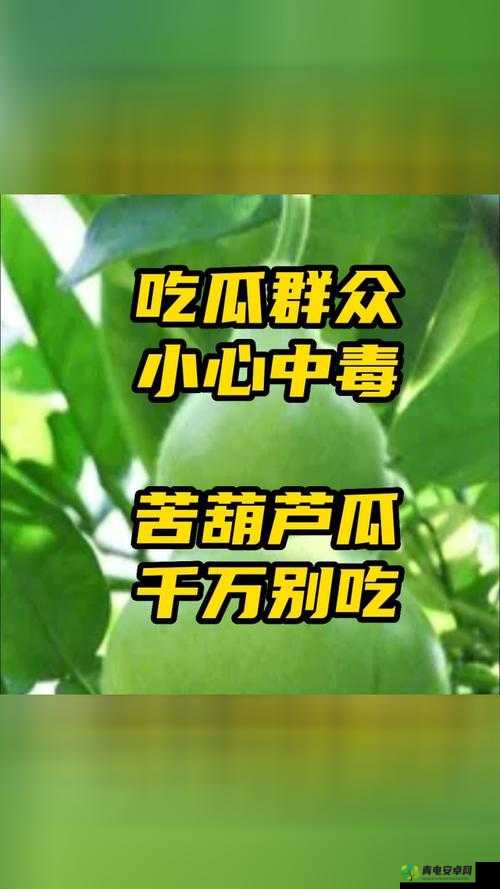 91 吃瓜中心-吃最新最火的瓜快来围观