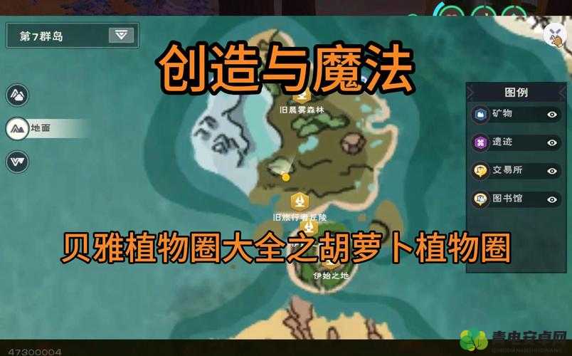 创造与魔法中稀有植物的价值究竟是什么