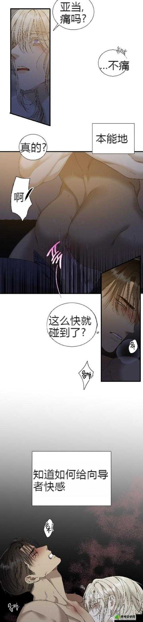 韩漫网站在线看免费无删减漫画：精彩不断，等你来发现