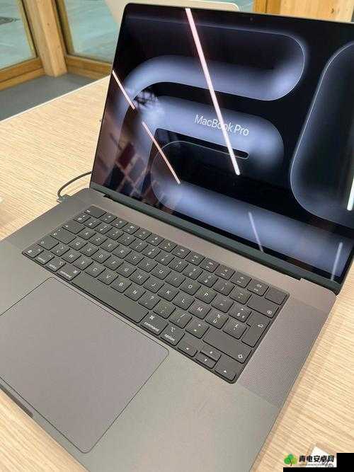 1316 岁 macbookpro 在线：你的学习娱乐好伙伴