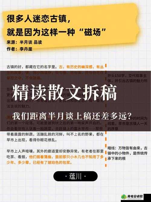 完整呈现东南亚老少交相关内容且极具吸引力