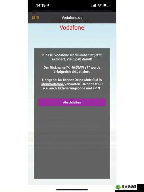 欧洲 vodafonewifi 粗：畅享欧洲，连接无限可能