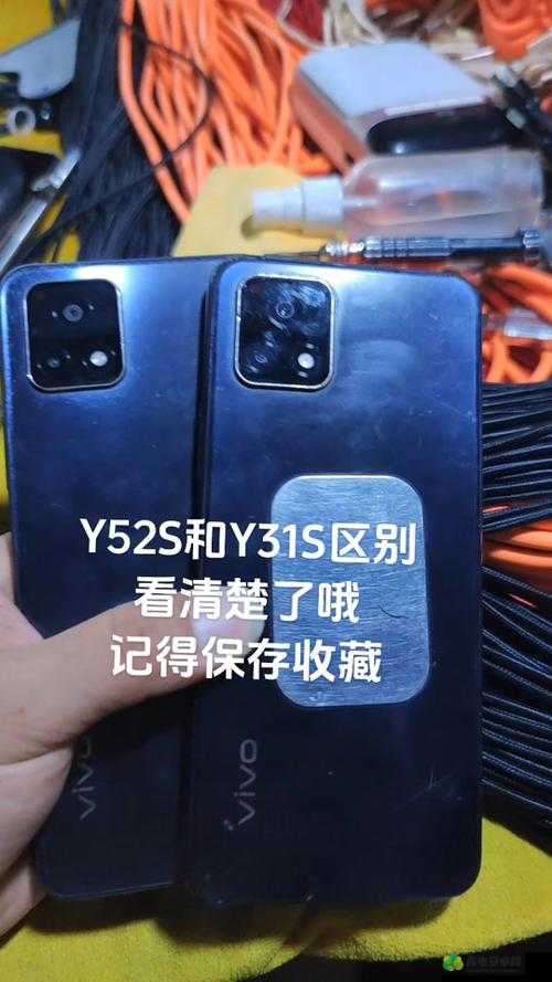 一级成色好的 y31s 标准版评测搬运网站新篇章：开启精彩评测之旅