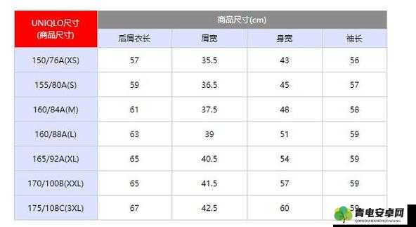 欧洲尺码日本尺码专 MBA 智库：深度解析与全面应用指南