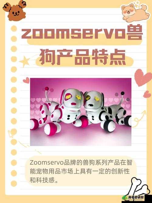 ZOOMSERVO 兽狗牧场 96：探索未知的神秘世界