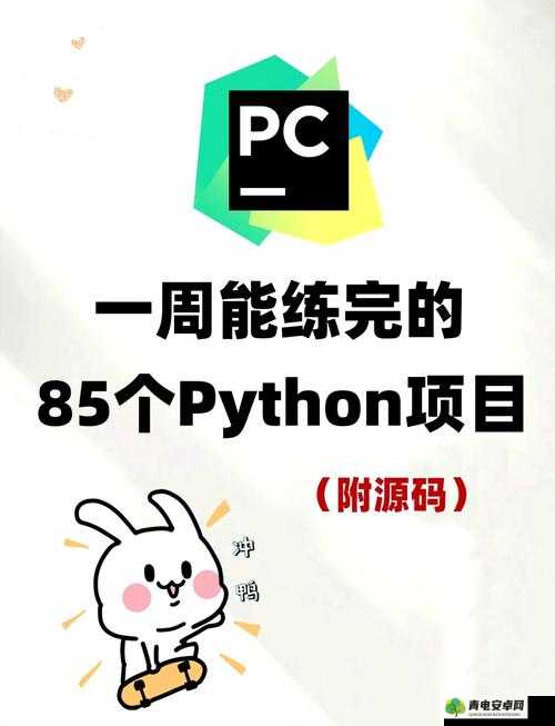 Python 人马大战 CSDN 引发技术领域激烈交锋